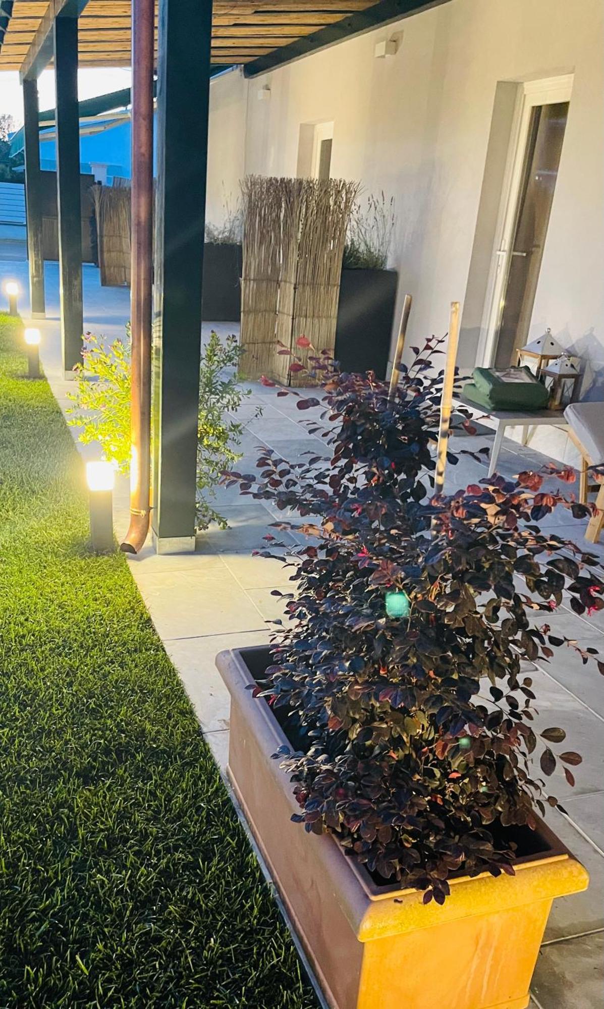 Poveromo B&B Massa  Dış mekan fotoğraf