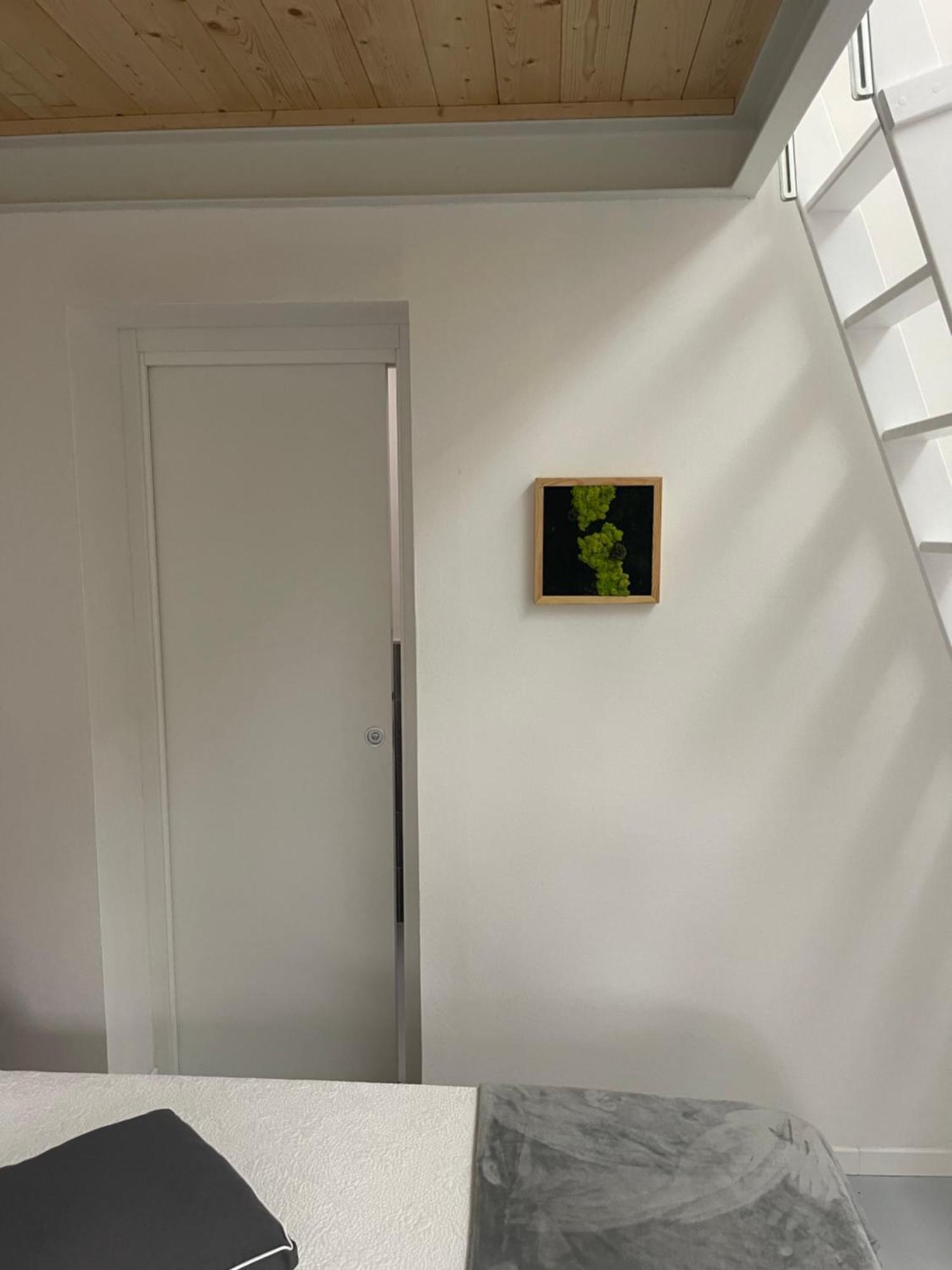 Poveromo B&B Massa  Dış mekan fotoğraf